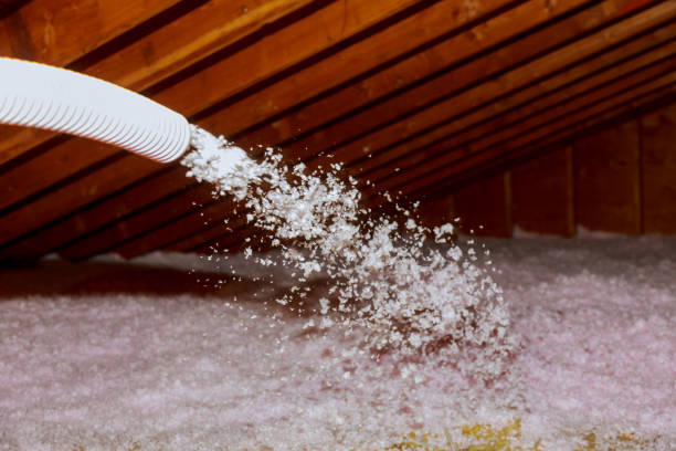 Best Eco-Friendly Insulation in Mohave Valley, AZ