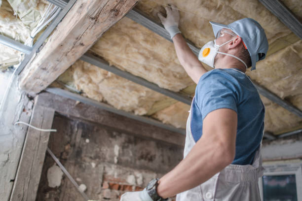 Types of Insulation We Offer in Mohave Valley, AZ