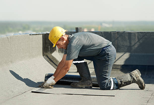 Best Commercial Insulation in Mohave Valley, AZ